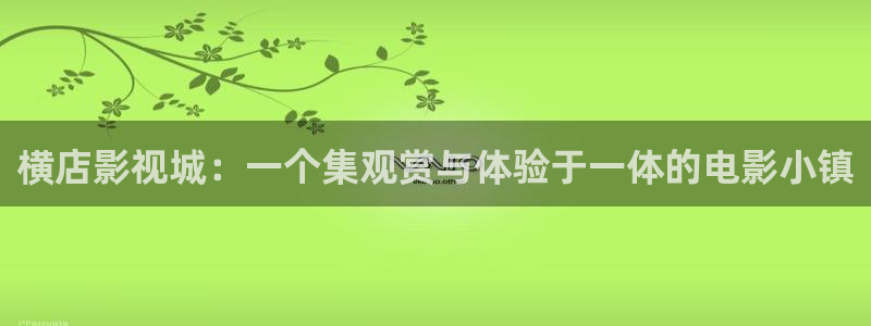 日韩欧美一区二区不卡看片：横店影视城：一个集观赏与体验于一体的电影小镇