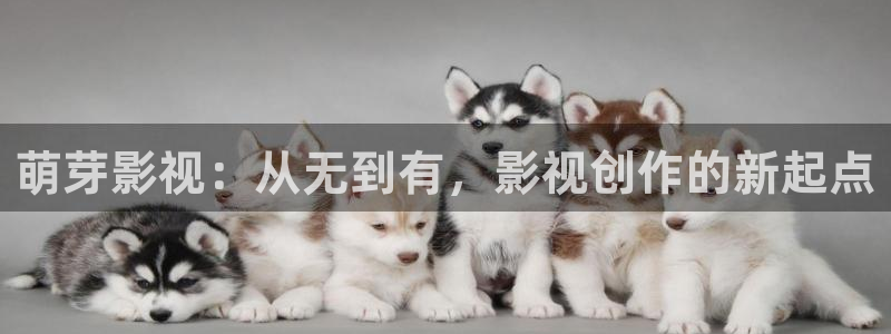 直接看的黄色片不卡电影：萌芽影视：从无到有，影视创作的新起点