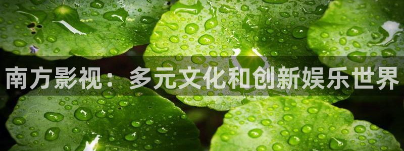 日韩电影一区不卡：南方影视：多元文化和创新娱乐世界