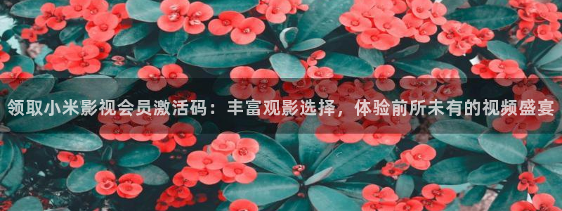 视频不卡一区二区三区：领取小米影视会员激活码：丰富观影选择，体验前所未有的视频盛宴