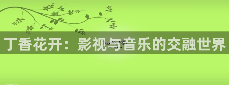 国产电影在线不卡：丁香花开：影视与音乐的交融世界