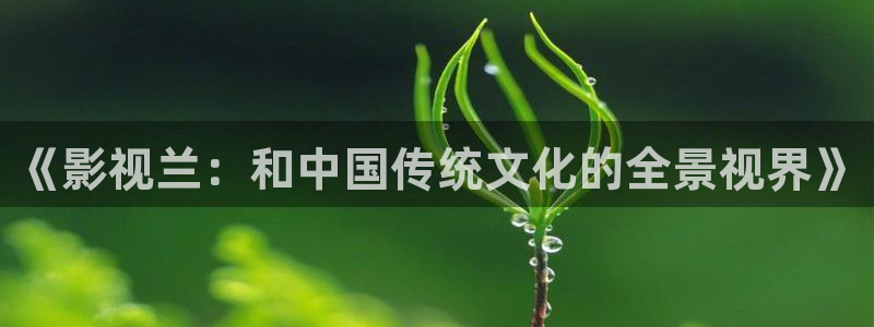 在线观看高清不卡av：《影视兰：和中国传统文化的全景视界》