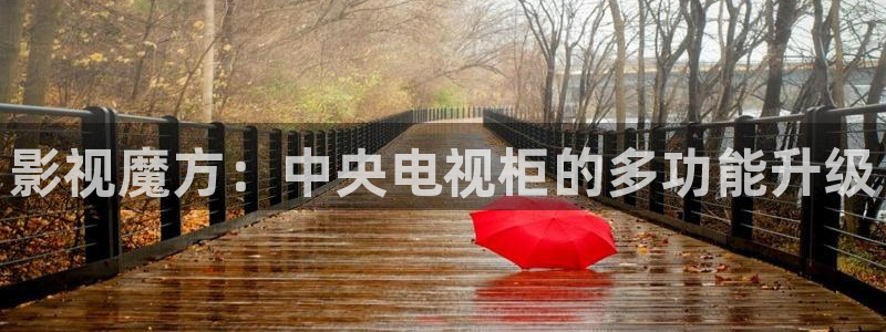 在线看不卡av电影：影视魔方：中央电视柜的多功能升级